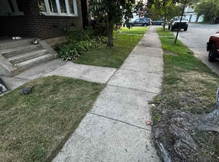 Debbie H.'s Lawn Care service result