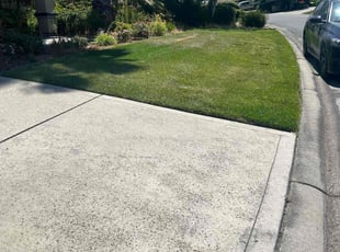 Deborah S.'s Lawn Service service result