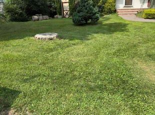 Tyrique B.'s Lawn Maintenance service result