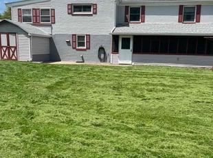 Pamela B.'s Yard Cutting service result
