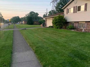 Shelly H.'s Lawn Mowing service result