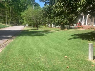 Terry P.'s Yard Cutting service result