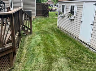 Eleanor W.'s Lawn Care service result