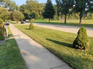 Anne B.'s Lawn Mowing service result