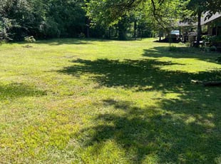 Verrita J.'s Lawn Service service result