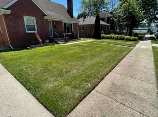 LaTosha G.'s Lawn Mowing Service service result