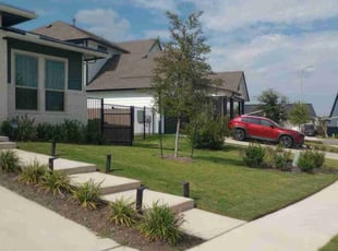 Gonzalo A.'s Lawn Care service result