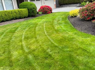 Brenda I.'s Lawn Service service result