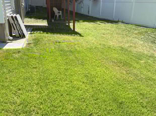 Larry S.'s Lawn Service service result