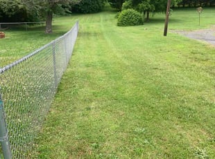 Conan S.'s Lawn Care service result