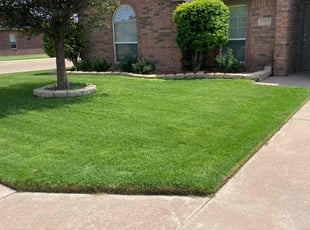 Jared S.'s Lawn Service service result