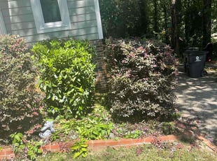 Bush Trimming by Vanquas Scotton for Eliza H. in Durham, NC