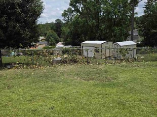 Weeding by Brandon Hunt for Kaβtell F. in Columbus, GA
