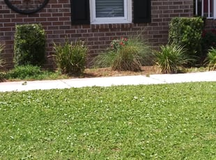 Bush Trimming by Pamela Washington for Debbie G. in Hanahan, SC