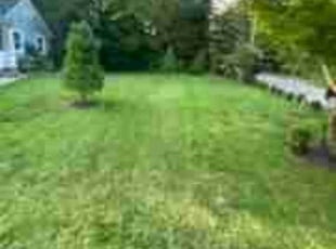 Elaine S.'s Lawn Care service result