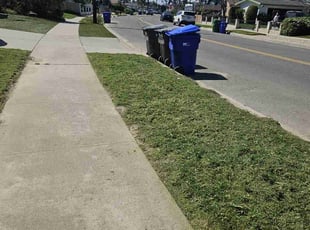 Frank T.'s Lawn Care service result