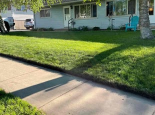 Shannon H.'s Lawn Mowing Service service result