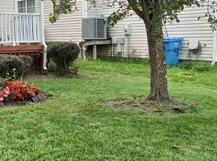 Bush Trimming by Debbie Carper for Deitre S. in Chesapeake, VA