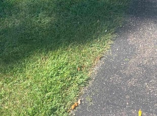Rushawna M.'s Lawn Service service result