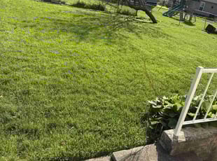 Brittany D.'s Yard Cutting service result