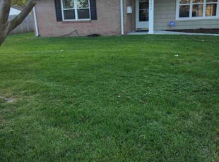 Nithin R.'s Lawn Care service result
