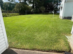 Patricia A.'s Lawn Mowing service result