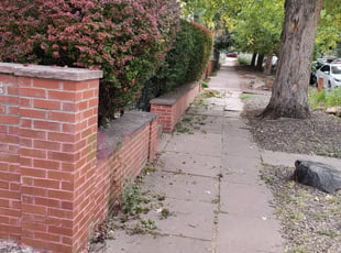 Bush Trimming by Josh Brown for Jack S. in Denver, CO