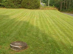 Mindy T.'s Lawn Service service result