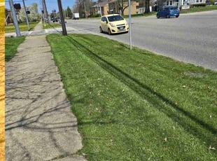 Christina L.'s Lawn Mowing Service service result