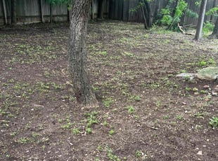 Leaf Removal by Jarrell Turner for Siming L. in Austin, TX