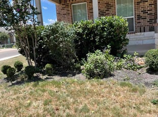 Bush Trimming by Juan Vazquez for Michael J. in San Antonio, TX