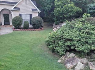 Doreen R.'s Lawn Care service result