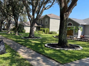 Lydia W.'s Lawn Care service result
