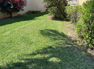 Melissa L.'s Lawn Mowing service result