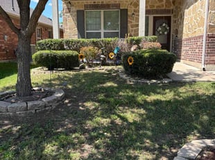Bush Trimming by Joshua Coleman for Paul B. in Keller, TX