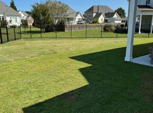 Christopher G.'s Lawn Mowing service result
