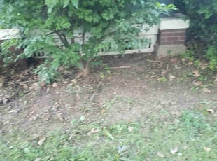 Cleanups by Chad Holzinger for Hall D. in Rochester, NY