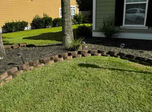 Randy C.'s Lawn Mowing service result