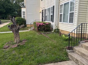 Bush Trimming by Derrick Graves for Ju J. in District Heights, MD