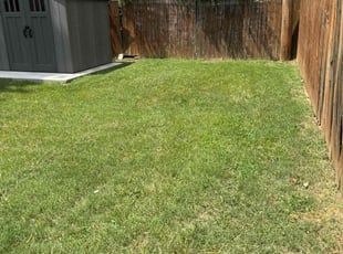 Randolph P.'s Lawn Mowing service result