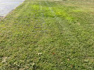 Bill T.'s Lawn Service service result