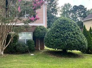 Bush Trimming by Marc Yero for Terence E A. in Powder Springs, GA