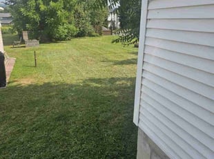 TaBria B.'s Lawn Service service result