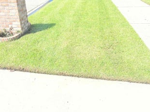 Leslie W.'s Lawn Care service result