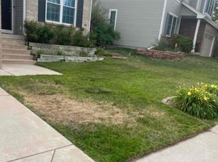 Bush Trimming by Aaron Fresquez for Rachel O. in Littleton, CO