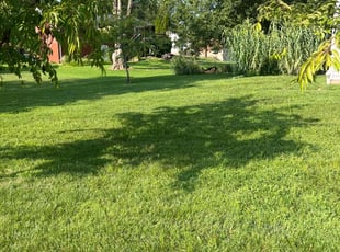 Misty N.'s Lawn Maintenance service result