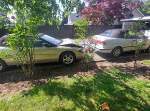 Weeding by Wes Altice for Hannelore F. in Fife, WA