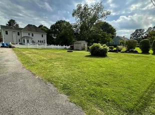 Lillie S.'s Grass Cutting service result