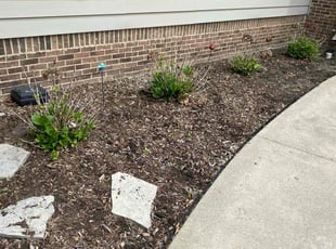 Weeding by David Scalf for Michele R. in Clinton Township, MI