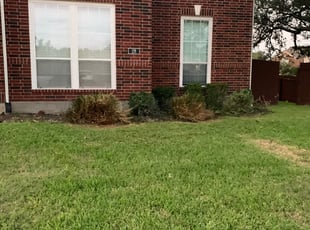 Bush Trimming by Stanmore Hinds for Justin M. in New Braunfels, TX